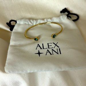 Alex and Ani Flex Cuff Bracelet